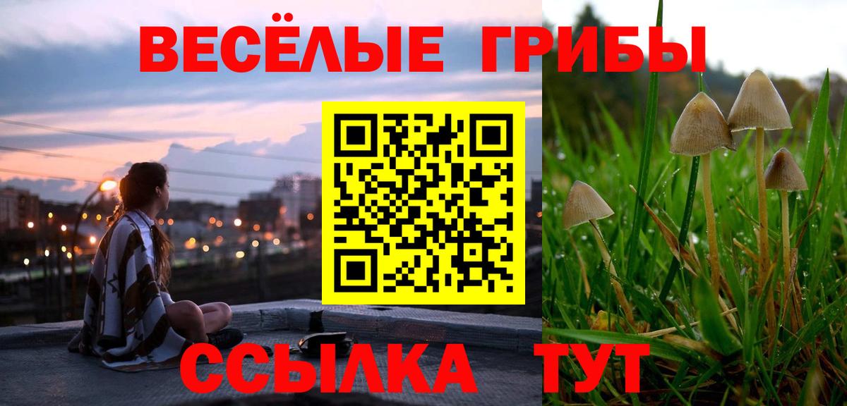 Санкт-Петербург  Псилоцибиновые грибы GOLDEN TEACHER  Вход с VPN 